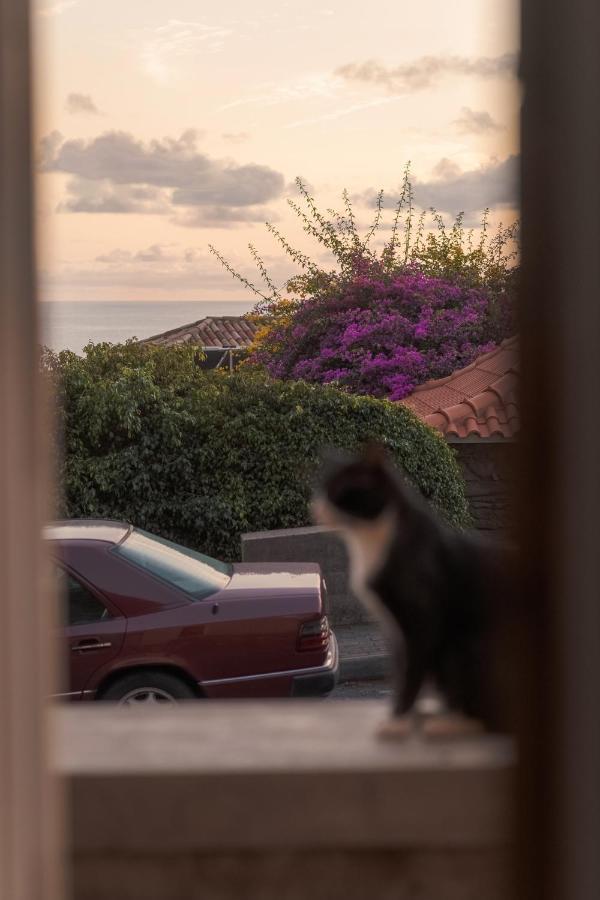 Casa Da Pitanga Villa Jardim do Mar Dış mekan fotoğraf